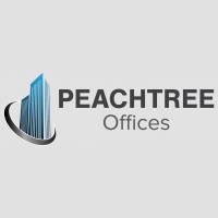 Peachtree Offices at 1100, LLC image 1